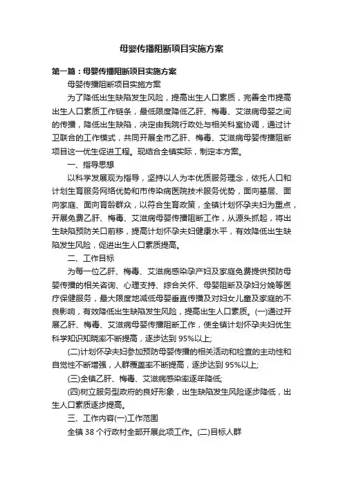 母婴传播阻断项目实施方案