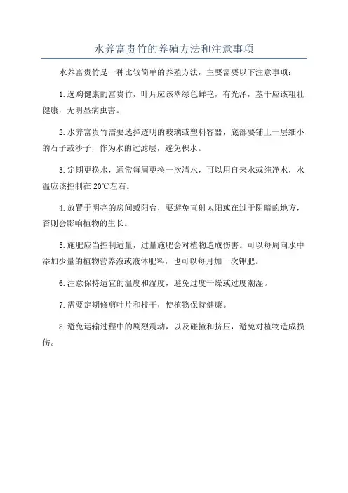 水养富贵竹的养殖方法和注意事项