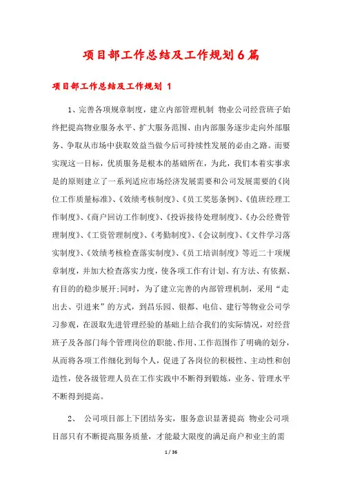 项目部工作总结及工作规划6篇