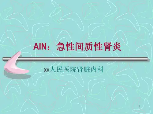 AIN：急性间质性肾炎ppt课件