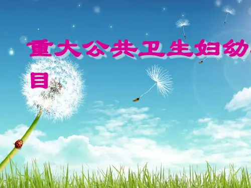 重大公共卫生妇幼项目