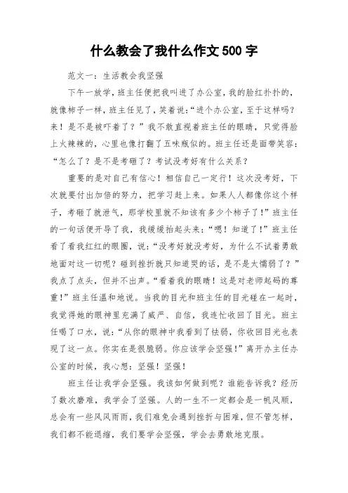什么教会了我什么作文500字_作文
