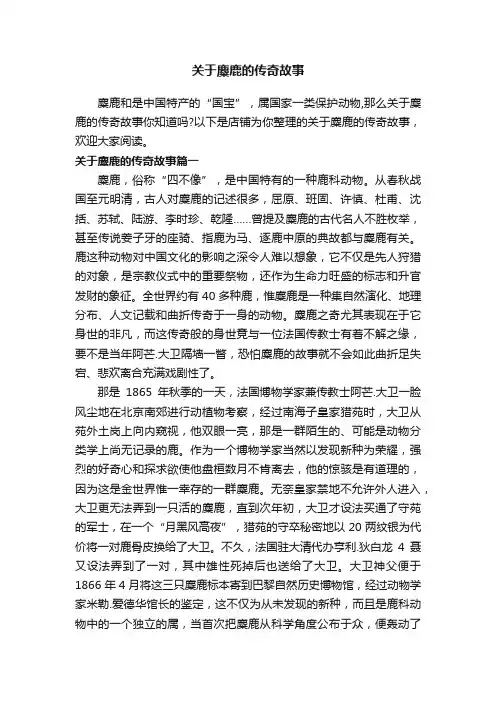 关于麋鹿的传奇故事