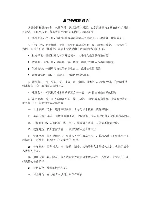 形容森林的词语