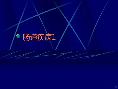 肠道PPT课件