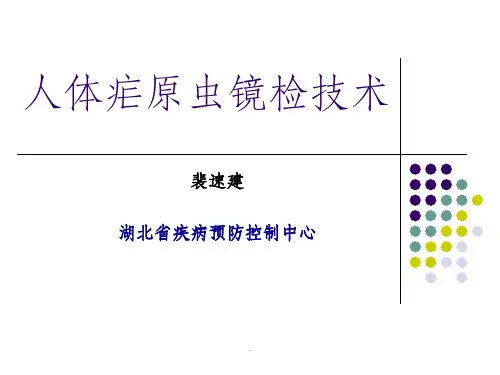 人体疟原虫镜检技术ppt课件
