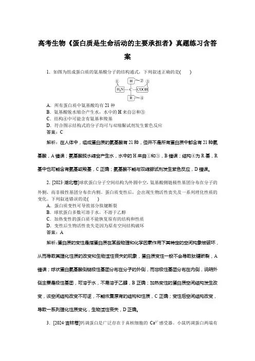 高考生物《蛋白质是生命活动的主要承担者》真题练习含答案