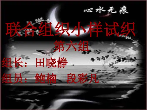 小样试织PPT汇报(第6组)
