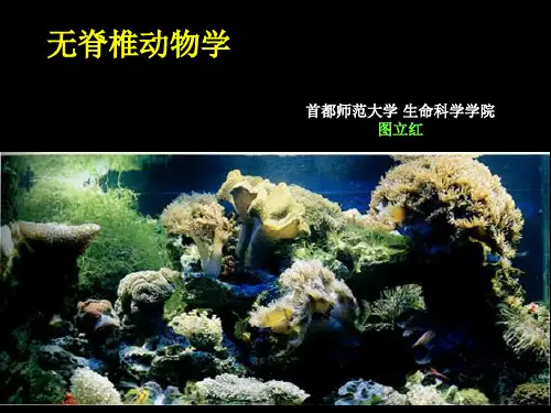 图立红 无脊椎动物学 序