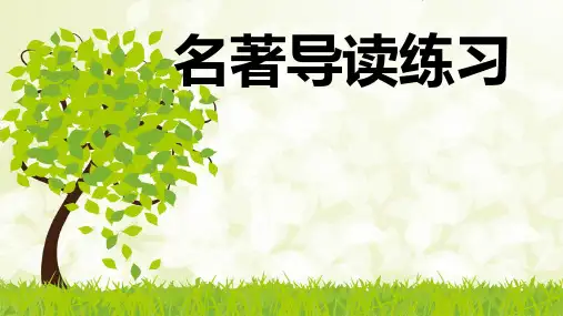 高中语文名著导读作业练习