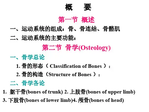 Chapter-2---Locomotive-System(1骨学总论)ppt课件