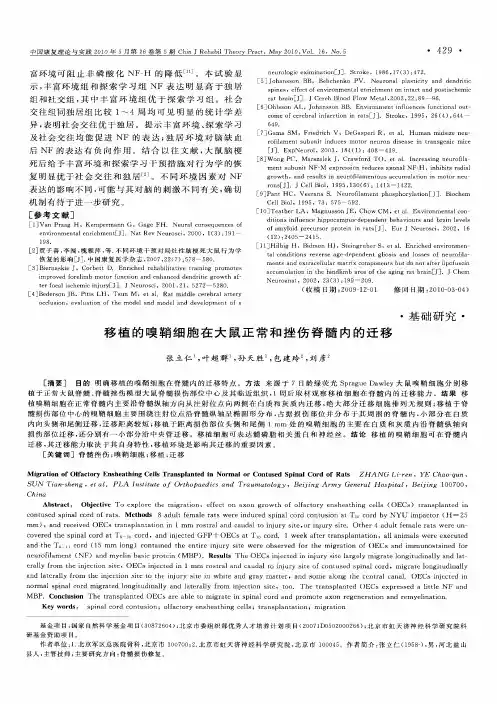 移植的嗅鞘细胞在大鼠正常和挫伤脊髓内的迁移