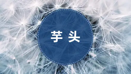 幼儿园小学美术PPT课件教案教程创意幼教《芋头》