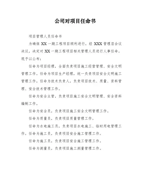 公司对项目任命书