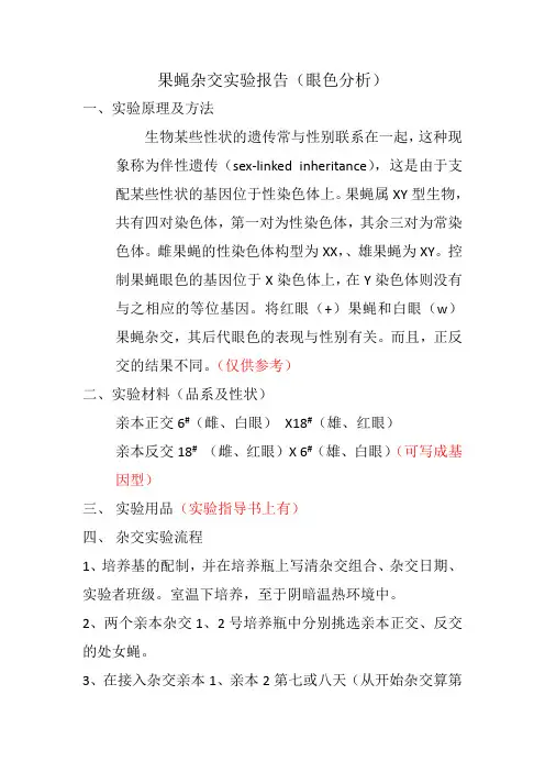 遗传学果蝇杂交实验报告主要内容