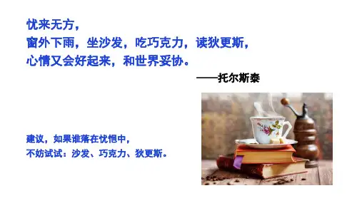 大卫科波菲尔讲解