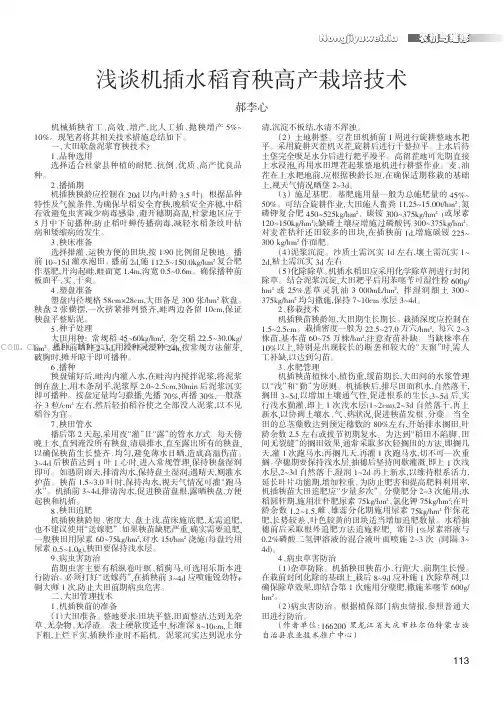 浅谈机插水稻育秧高产栽培技术
