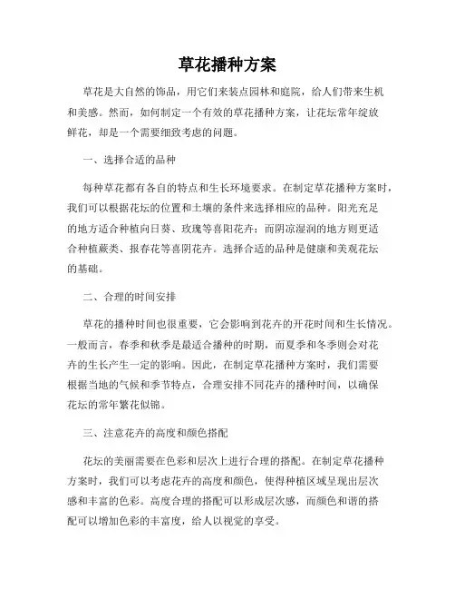 草花播种方案