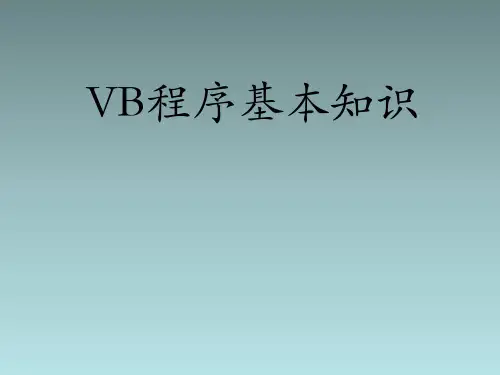 苏科版八年级全册信息技术4.认识VisualBasic课件(1)