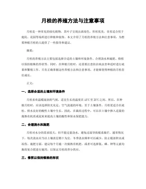 月桂的养殖方法与注意事项