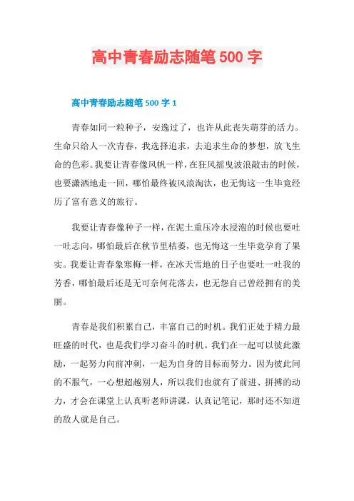 高中青春励志随笔500字