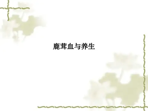 鹿茸血与养生
