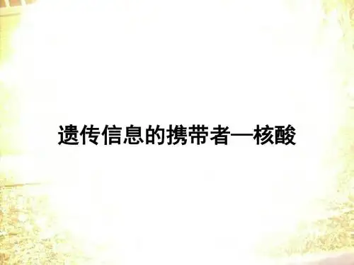 人教版高中生物必修一第2章第3节遗传信息的携带者——核酸  课件(共19张PPT)