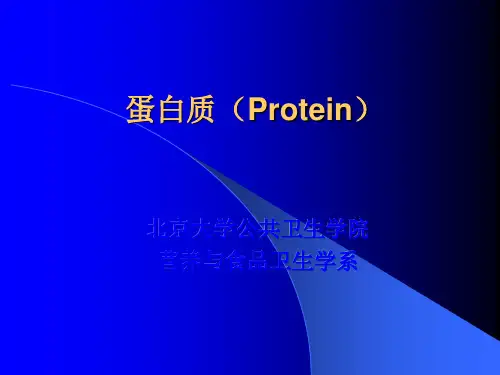营养学基础—蛋白质