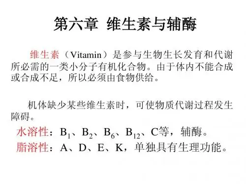 6 第六章 维生素与辅酶(2学时)