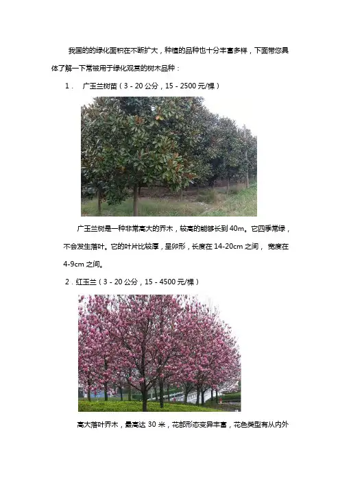 园林绿化常见乔木树种有哪些