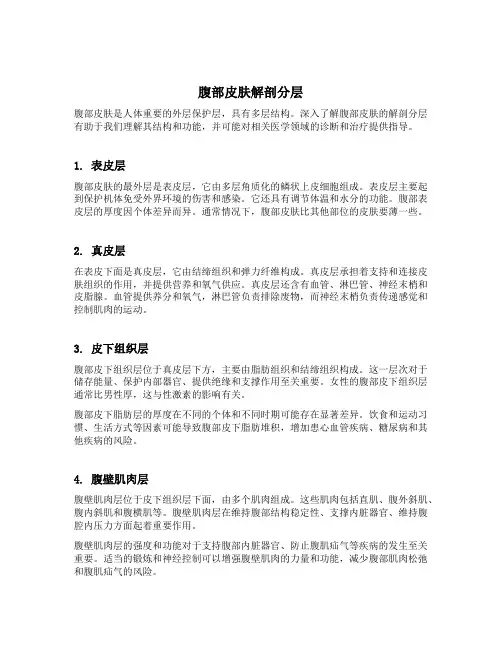腹部皮肤解剖分层