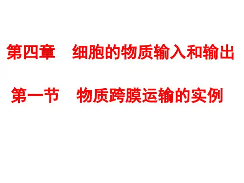必修一第四章第一节 物质跨膜运输的实例