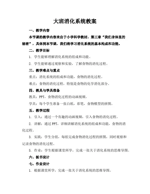 大班消化系统教案