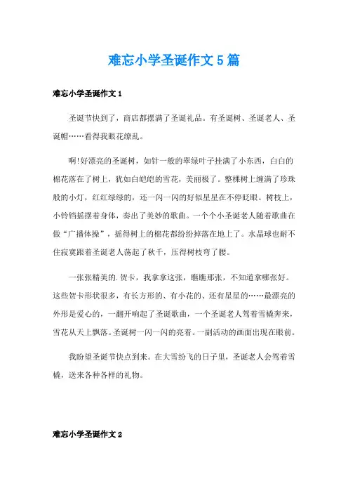 难忘小学圣诞作文5篇
