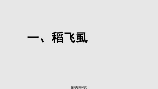 技术研讨会水稻PPT课件