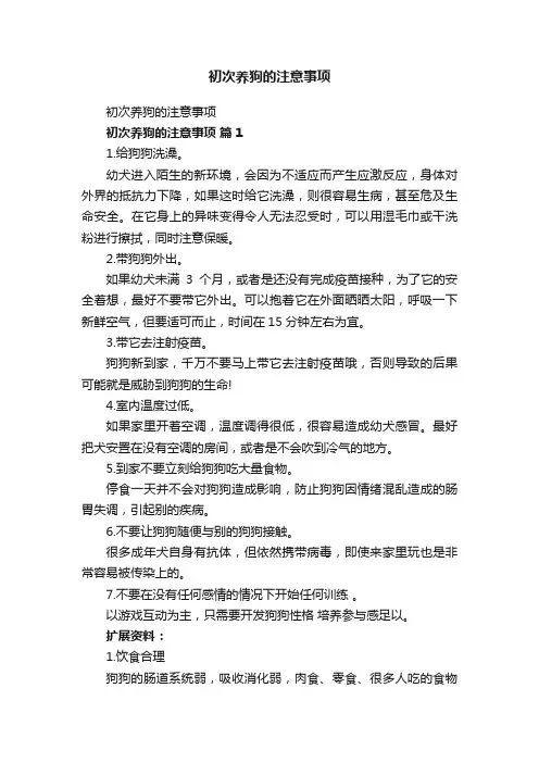 初次养狗的注意事项