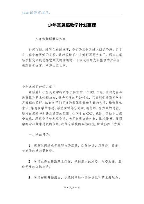 少年宫舞蹈教学计划整理