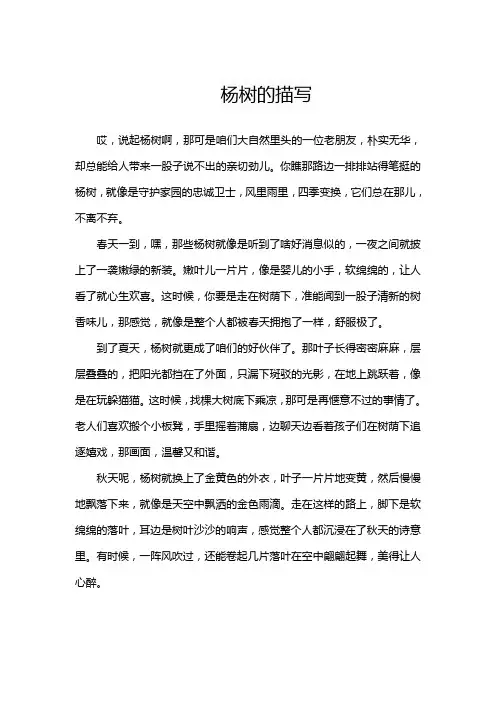 杨树的描写