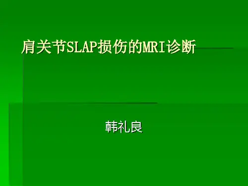 肩关节SLAP损伤的MRI诊断ppt课件