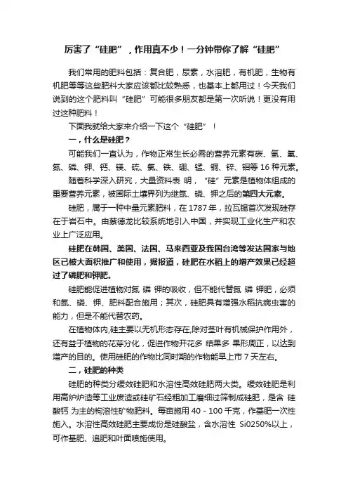 厉害了“硅肥”，作用真不少！一分钟带你了解“硅肥”