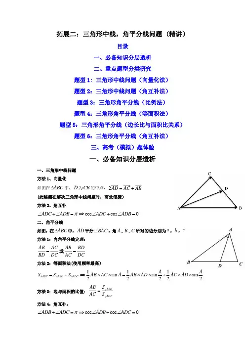 拓展二：解三角形三角形中线,角平分线问题 (精讲)(解析版)
