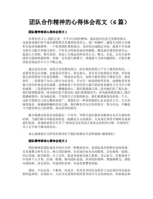 团队合作精神的心得体会范文（6篇）