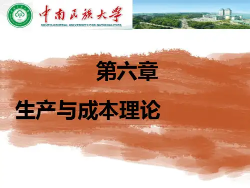 生产与成本理论培训教材(PPT89页).pptx