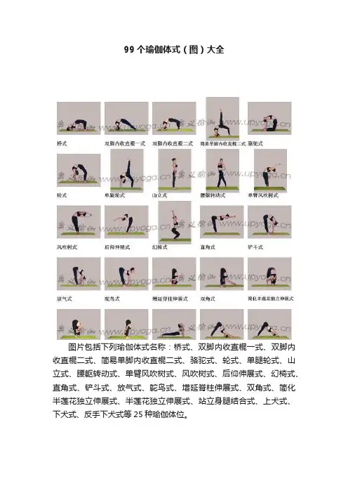 99个瑜伽体式（图）大全