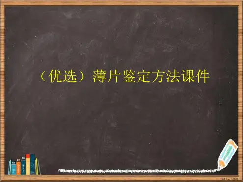 优选薄片鉴定方法演示ppt