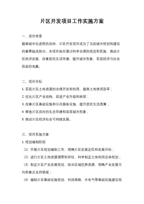 片区开发项目工作实施方案