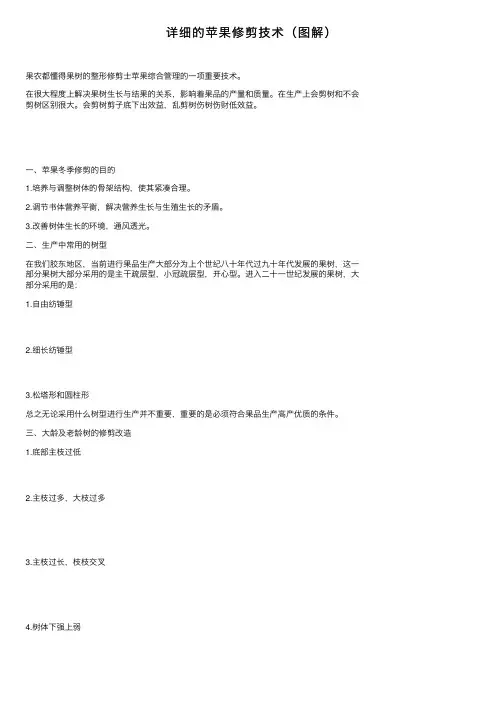 详细的苹果修剪技术（图解）