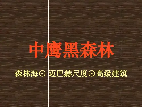 中鹰黑森林节能科技系统