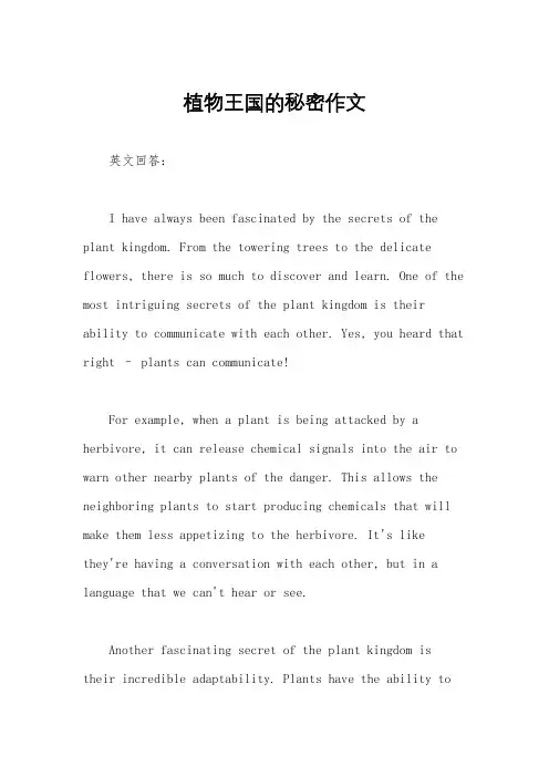 植物王国的秘密作文