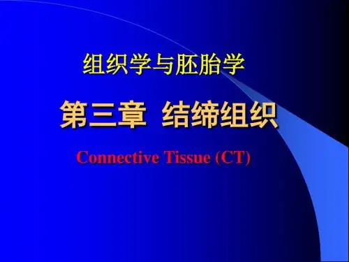 第3章结缔组织xin